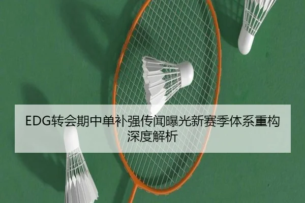 EDG转会期中单补强传闻曝光新赛季体系重构深度解析